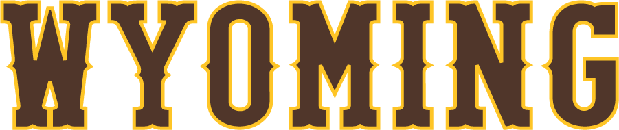 Wyoming Cowboys 2022-Pres Wordmark Logo diy iron on heat transfer